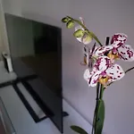 Dp Вааса
